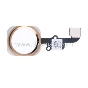 iPhone 6 Plus Flex Impronte Oro