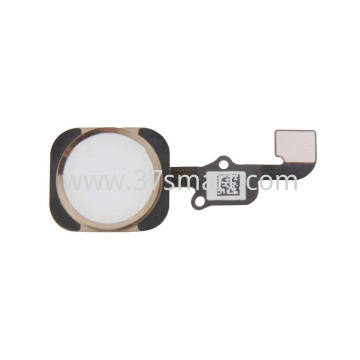 iPhone 6S/iPhone 6S Plus Flex Touch ID Gold