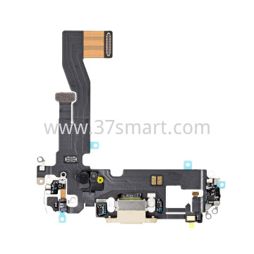 iPhone 12 Pro Charging Port Flex Gold
