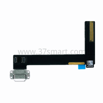 iPad Air 2 Charging Port Flex White