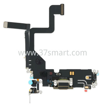 iPhone 14 Pro Flex Ricarica Oro