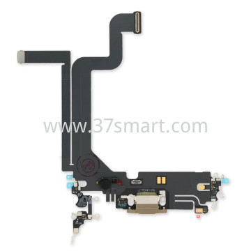 iPhone 14 Pro Max Flex Ricarica Oro