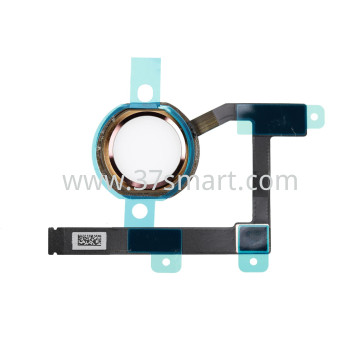 iPad Mini 5 Flex Touch ID Oro