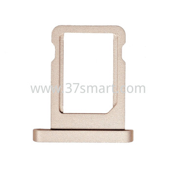 iPad Mini 5 SIM Tray Oro