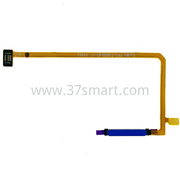 TCL 40R, TCL 40 NxtPaper 4G, TCL 40 NxtPaper 5G Flex Touch ID Blue
