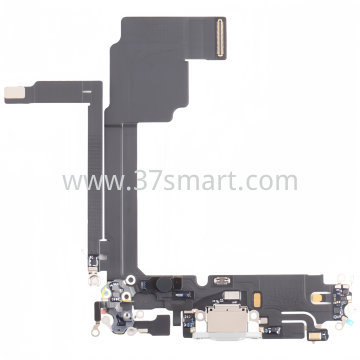 iPhone 15 Pro Max Flex Ricarica White