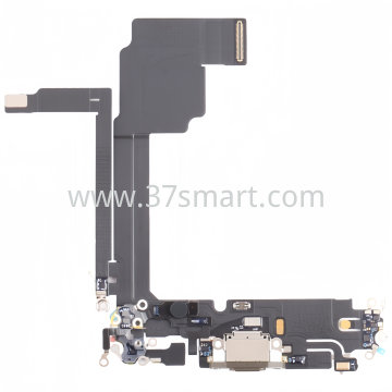 iPhone 15 Pro Max Flex Ricarica Gold