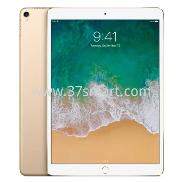 iPad Air 2 A1567 Con SIM Lite Usato Tablet Grado A Oro