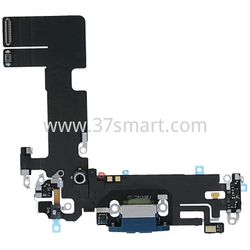 iPhone 13 Flex Charging Blue