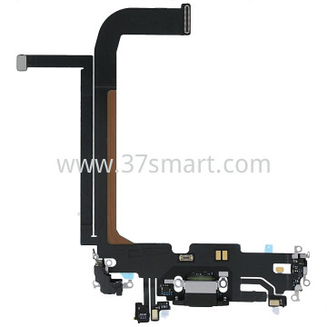 iPhone 13 Pro Max Flex Ricarica Blu