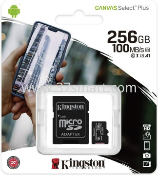 Kingston Micro SD Canvas Select Plus SDCS2 256GB