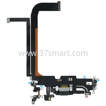 iPhone 13 Pro Max Flex Ricarica Verde