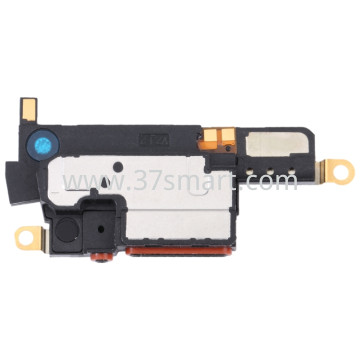 Google Pixel 6 Pro Speaker Regenerieren