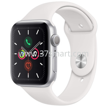 iWatch Series 5 40mm GPS Usato Grado A (Display Compatibile iWatch SE 40mm) Argento