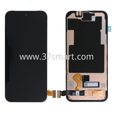 Google Pixel 9 Pro XL Service Pack Display Schüttgut