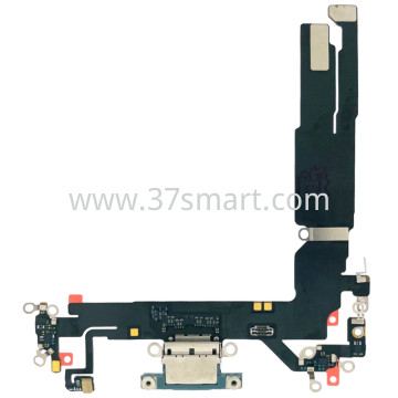 iPhone 16 Flex USB Charging Grün