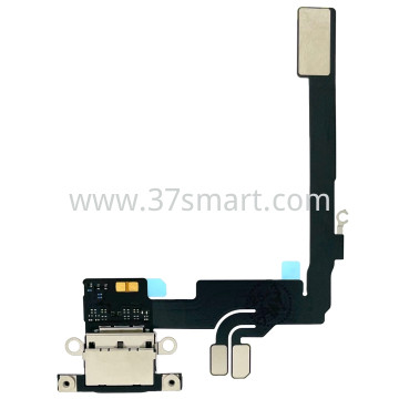 iPhone 16 Pro Flex USB Charging Black