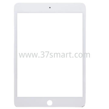 iPad Mini 5 Vetro Display+OCA Bianco