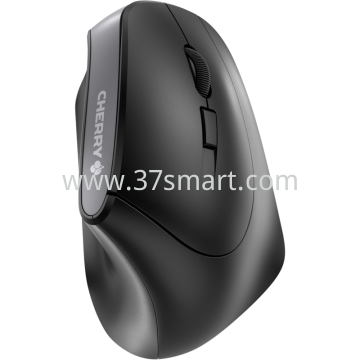 Maus MW 4500 Vertical, Wireless, schwarz Nero