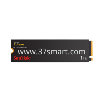 SanDisk Extreme M.2 NVMe SSD 1TB