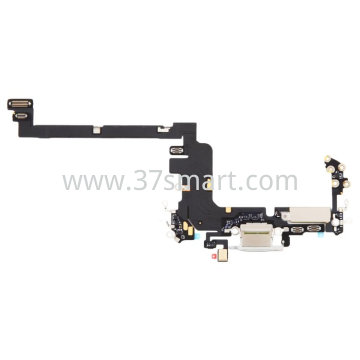 iPhone 17 Pro Flex USB Charging Regenerate